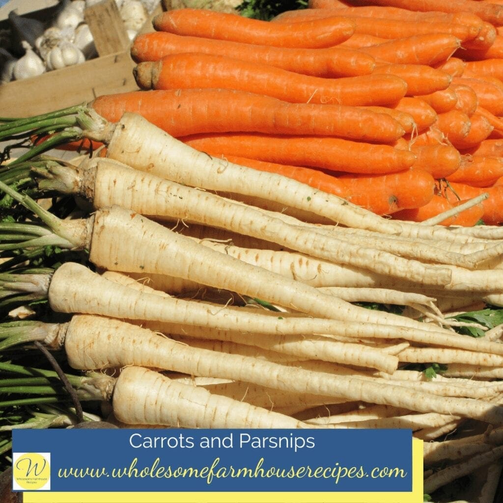 Carrots and Parsnips