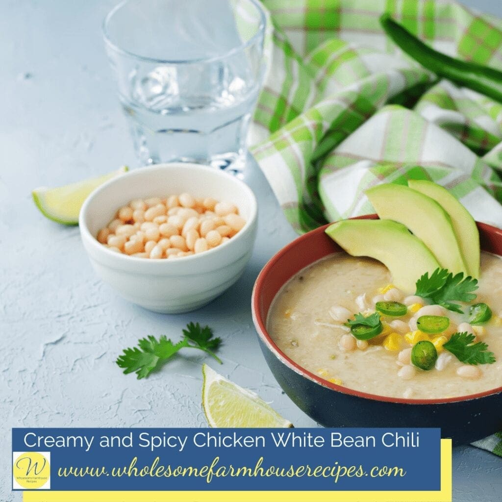 Creamy and Spicy Chicken White Bean Chili