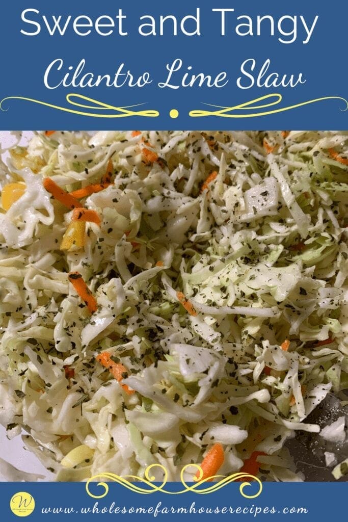 Sweet and Tangy Cilantro Lime Slaw Pin