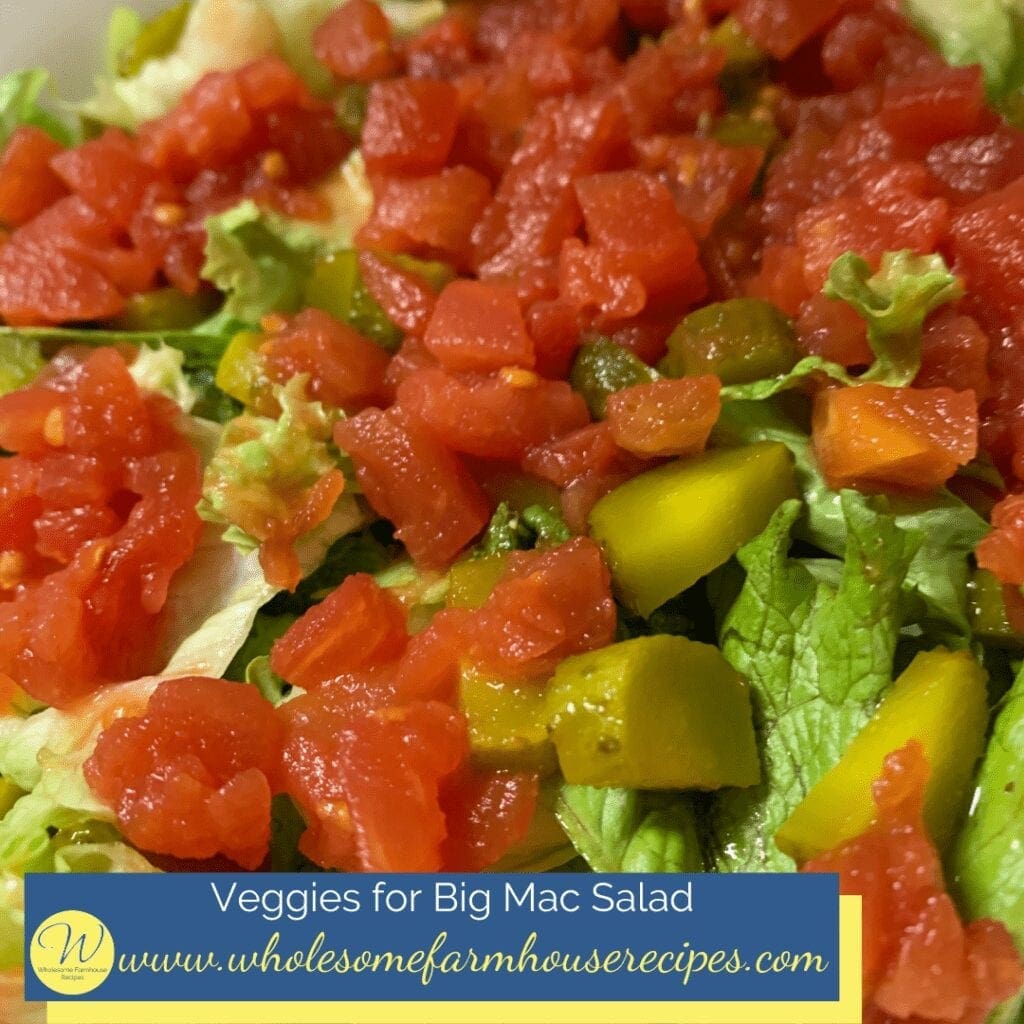 Veggies for Big Mac Salad