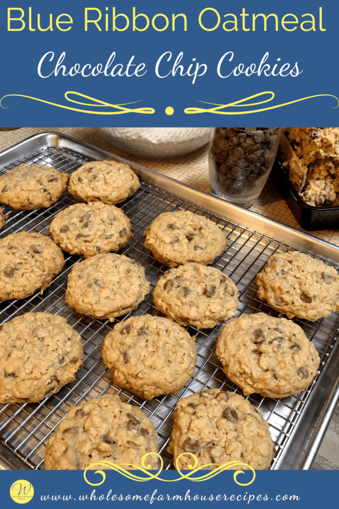 Blue Ribbon Oatmeal Chocolate Chip Cookies