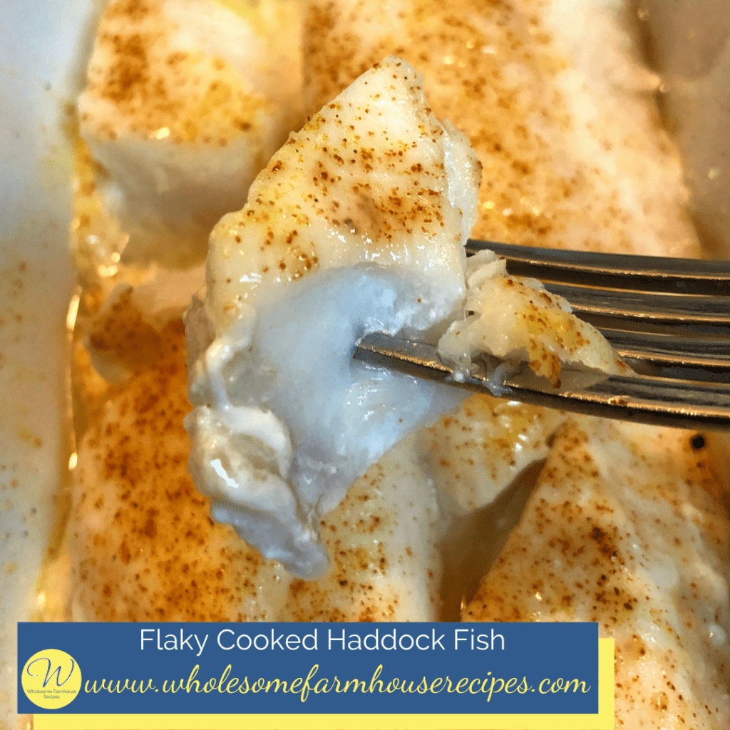 Flaky Cooked Haddock Fish