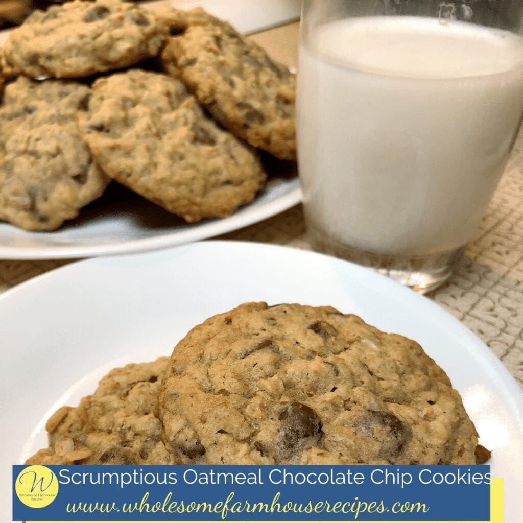 Scrumptious Oatmeal Chocolate Chip Cookies Served with a Glass of Milk