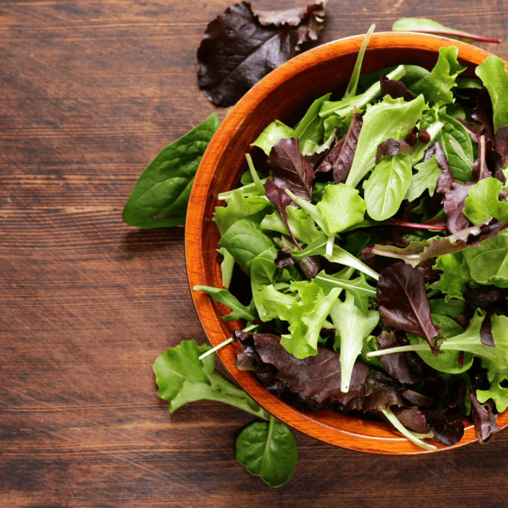 Spring Mix Salad Greens