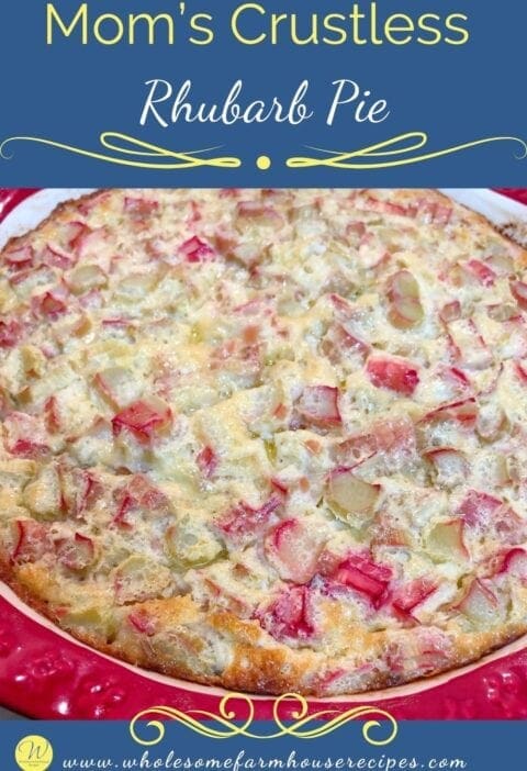 Moms-Crustless-Rhubarb-Pie-480x702