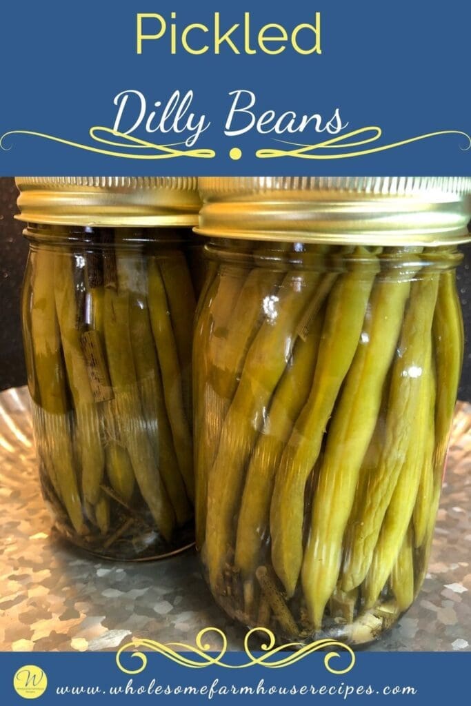 Pickled Dilly Beans