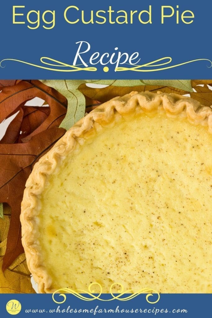 Egg Custard Pie Recipe