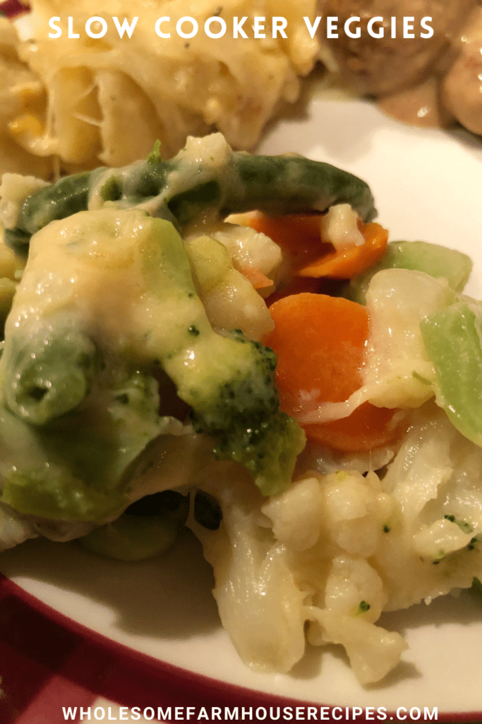 Slow Cooker Veggies