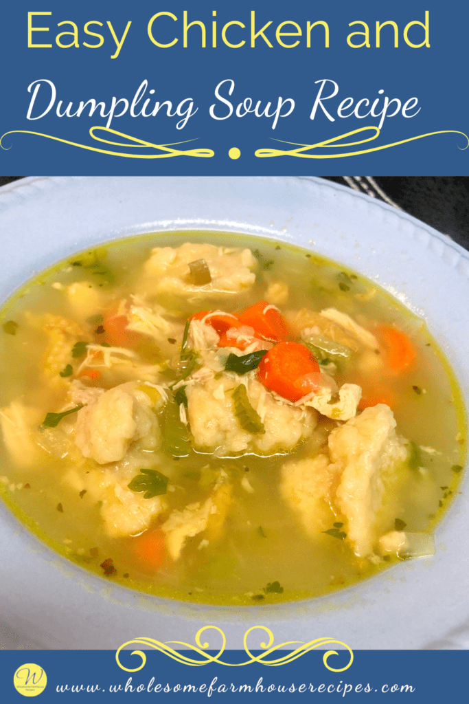 Easy Chicken and Dumpling Soup Recipe