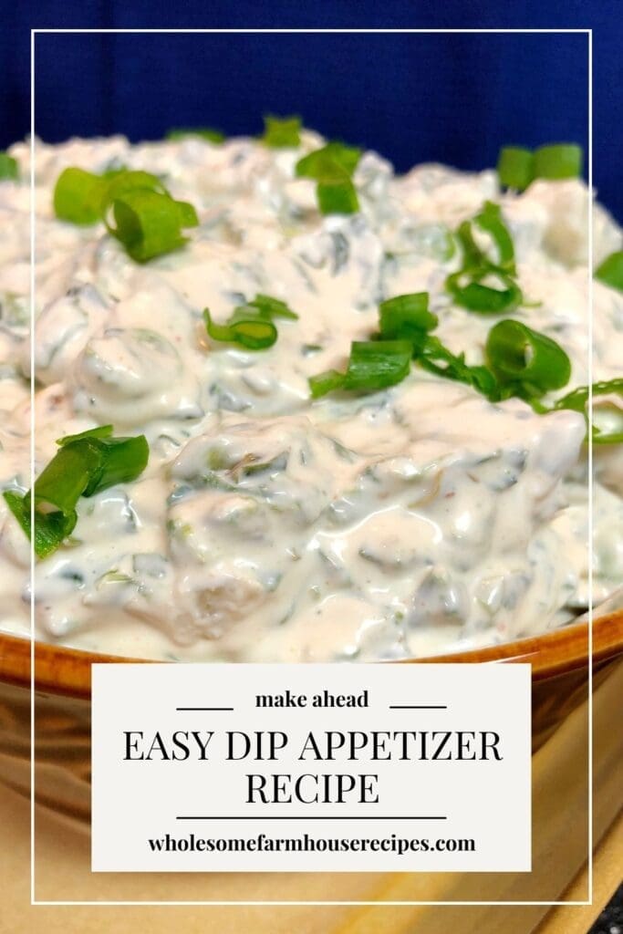 Easy Dip Appetizer Recipe