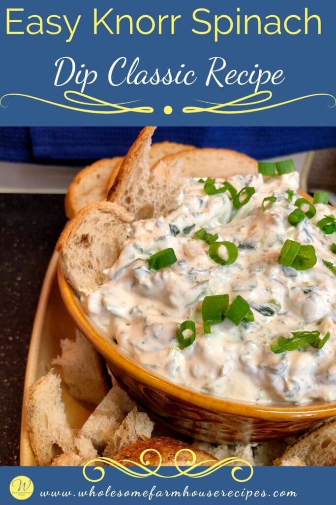 Easy Knorr Spinach Dip Classic Recipe