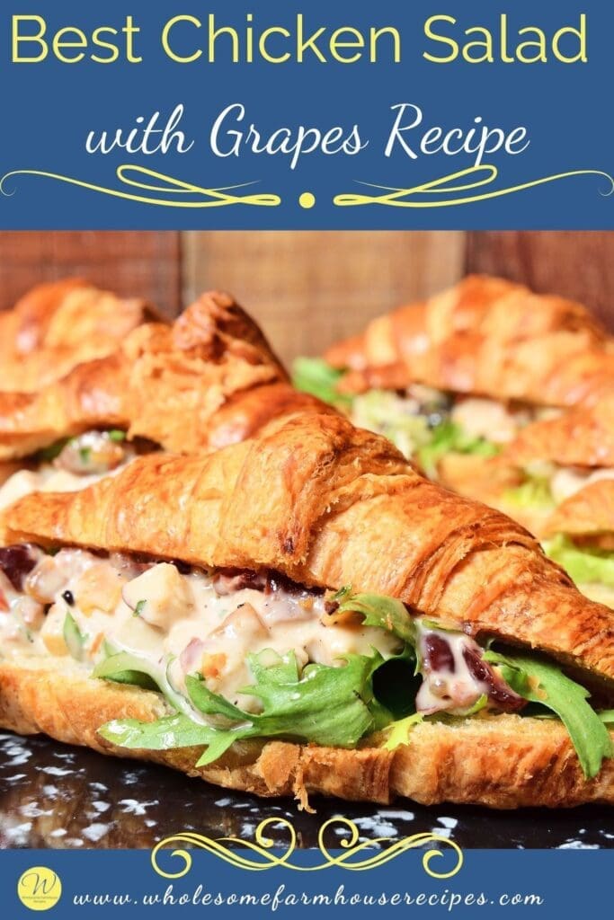 Best Chicken Salad with Grapes Recipe