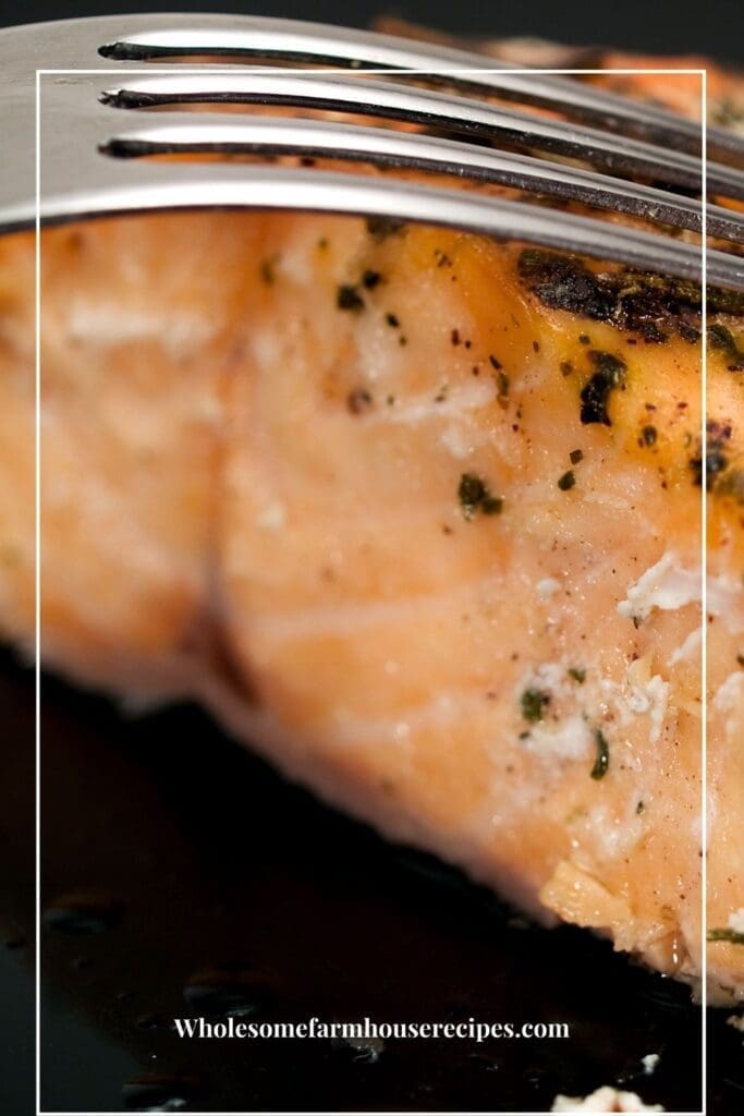 Baked Salmon in Air Fryer