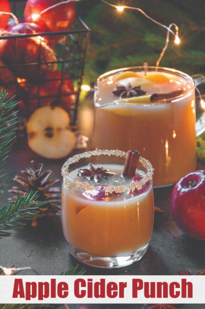 Apple-Cider-Punch-Recipe