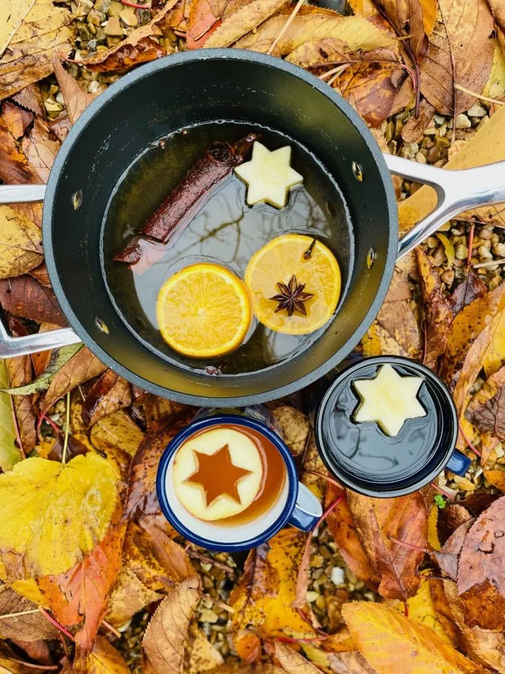 mulled-cider-recipe