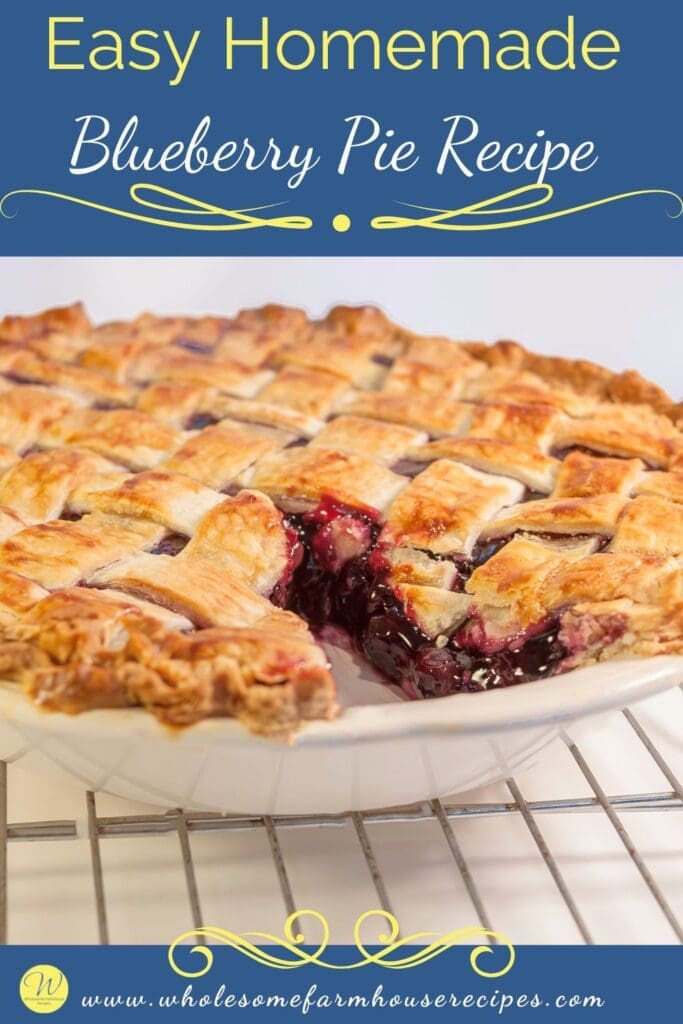 Easy Homemade Blueberry Pie Recipe