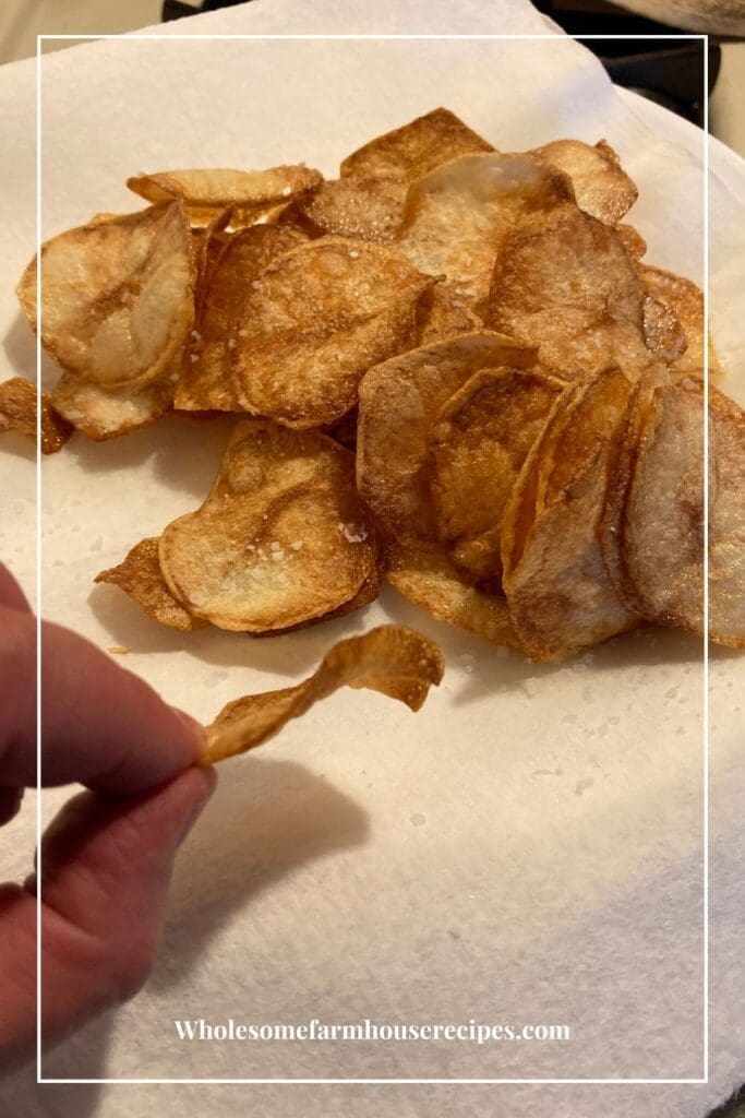 Thin Crispy Chip