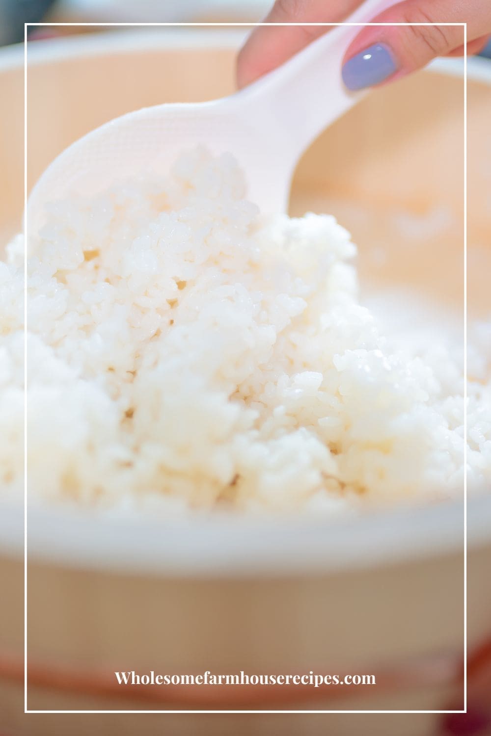 How to Make Spam Musubi with Teriyaki Sauce - Wholesome Farmhouse Recipes