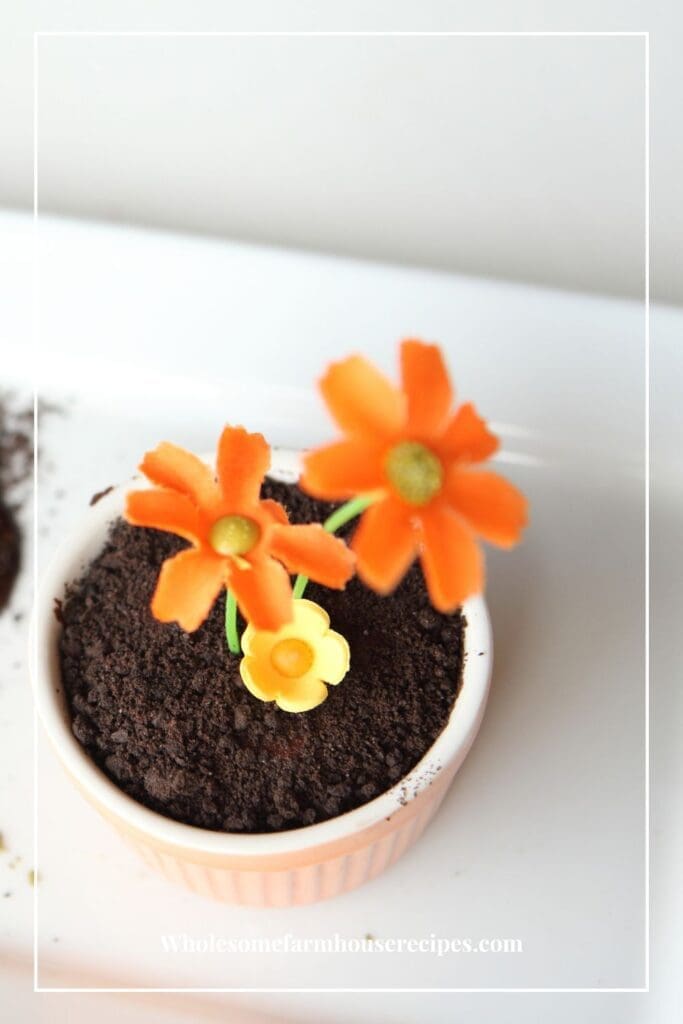 No Bake Summer Dessert Flowerpot Cake