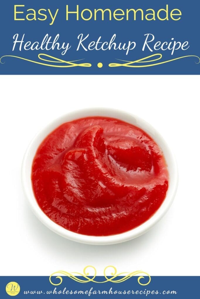 Easy Homemade Healthy Ketchup Recipe