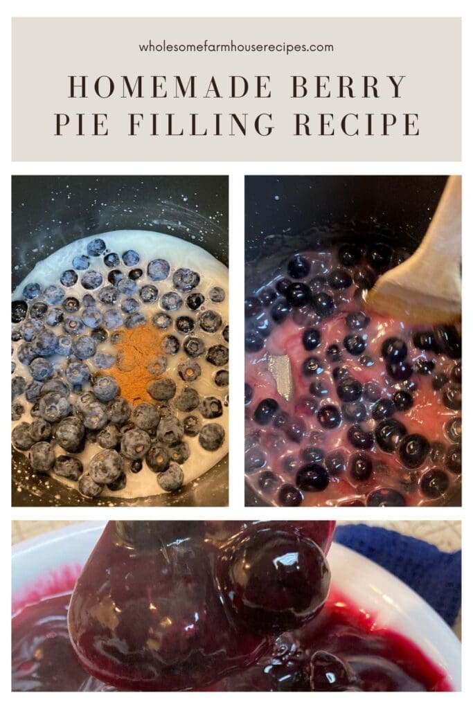 Mini Blueberry Tarts Wholesome Farmhouse Recipes Mini Blueberry Tarts Wholesome Farmhouse Recipes