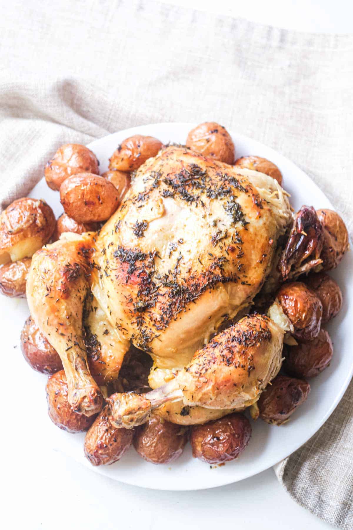 Dutch Oven Chicken