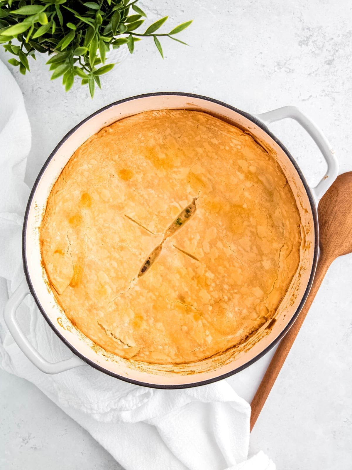 dutch oven chicken pot pie