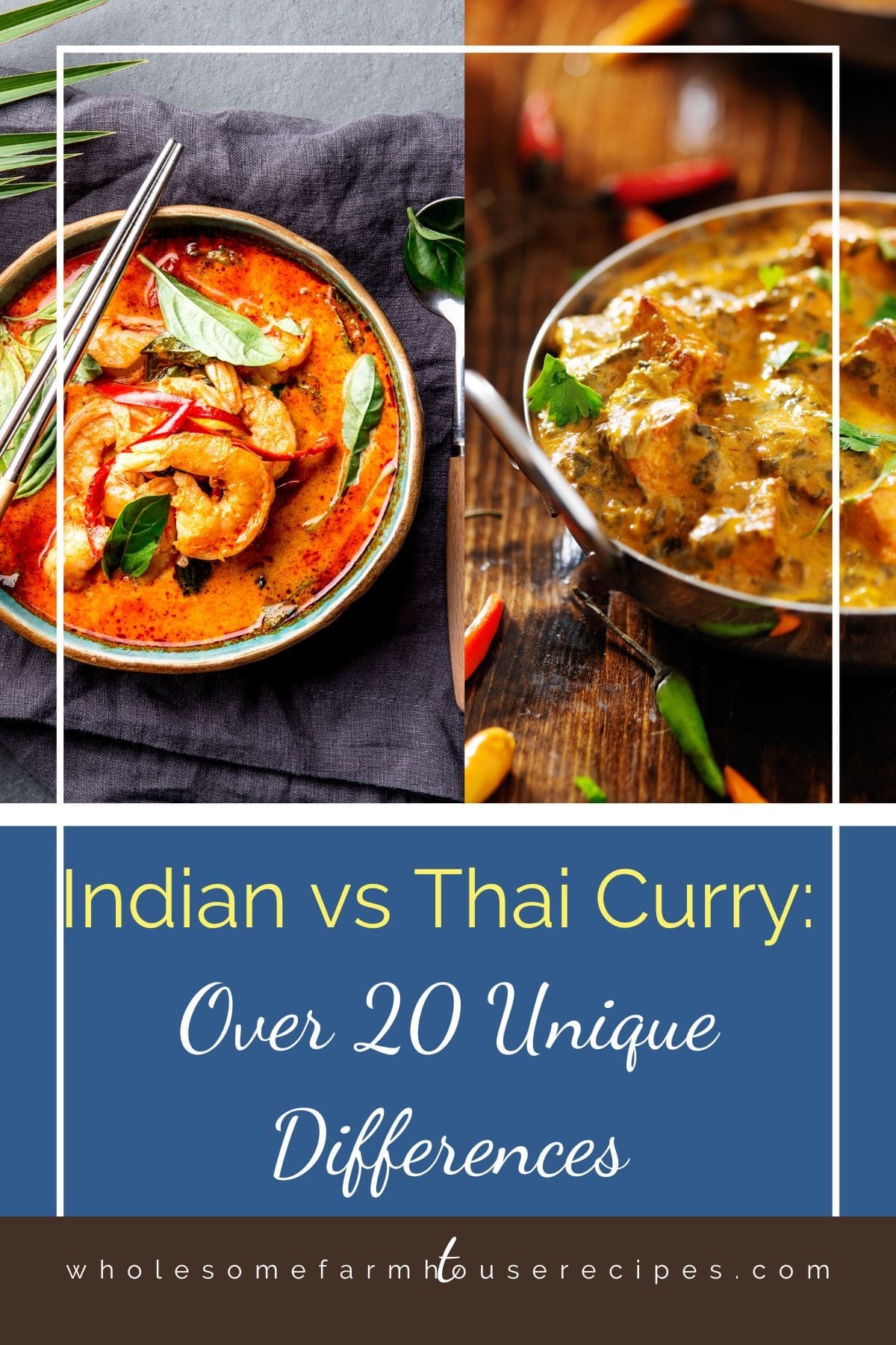 Indian vs Thai Curry Over 20 Unique Differences