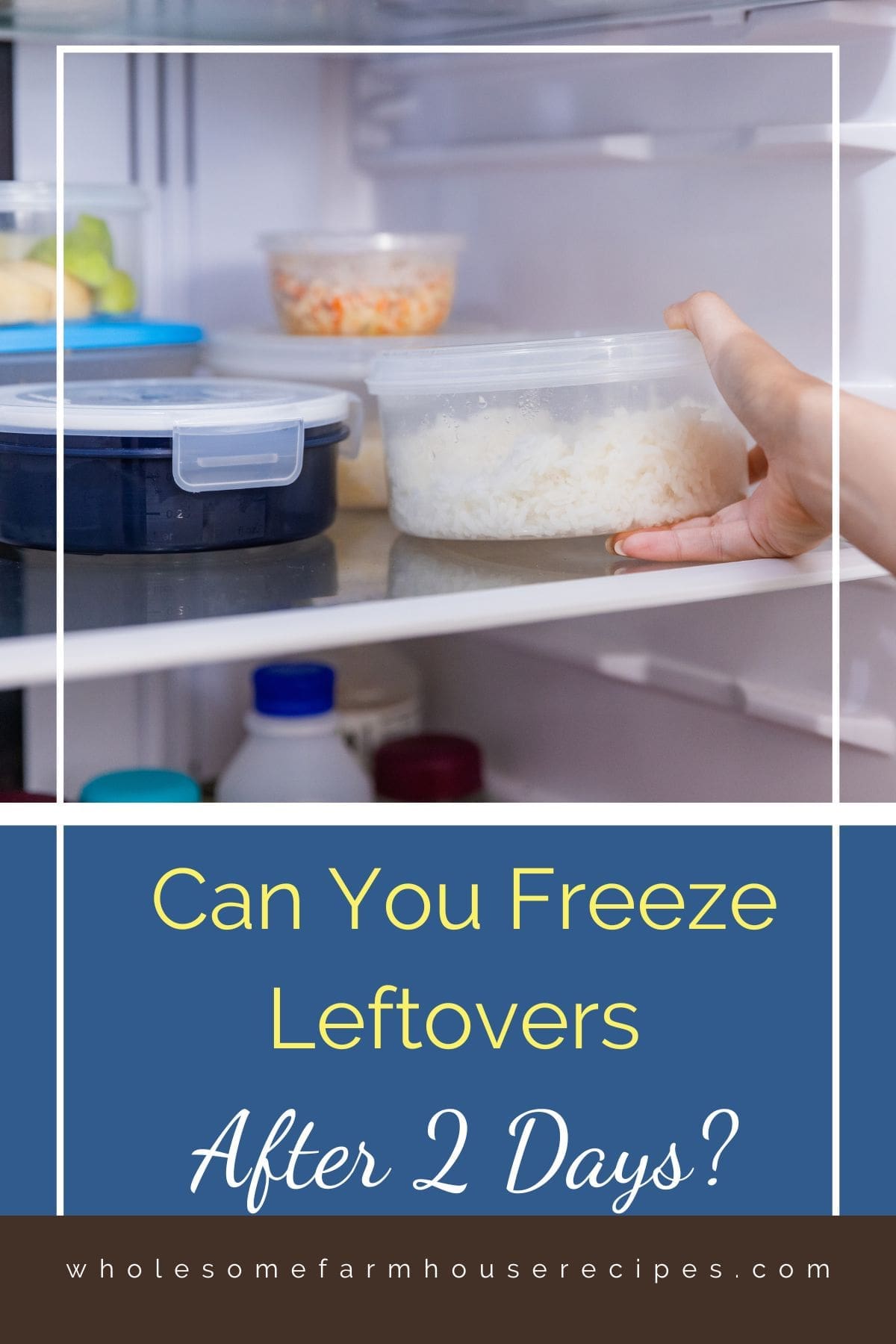 Can You Freeze Leftovers After 2 Days