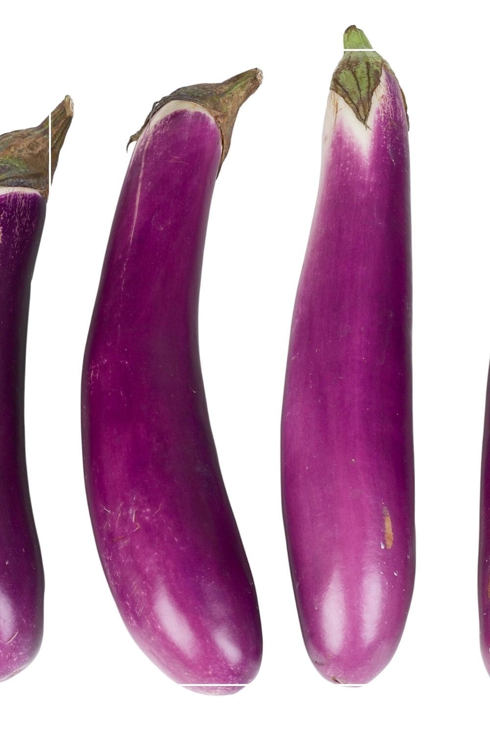 Chinese Eggplant