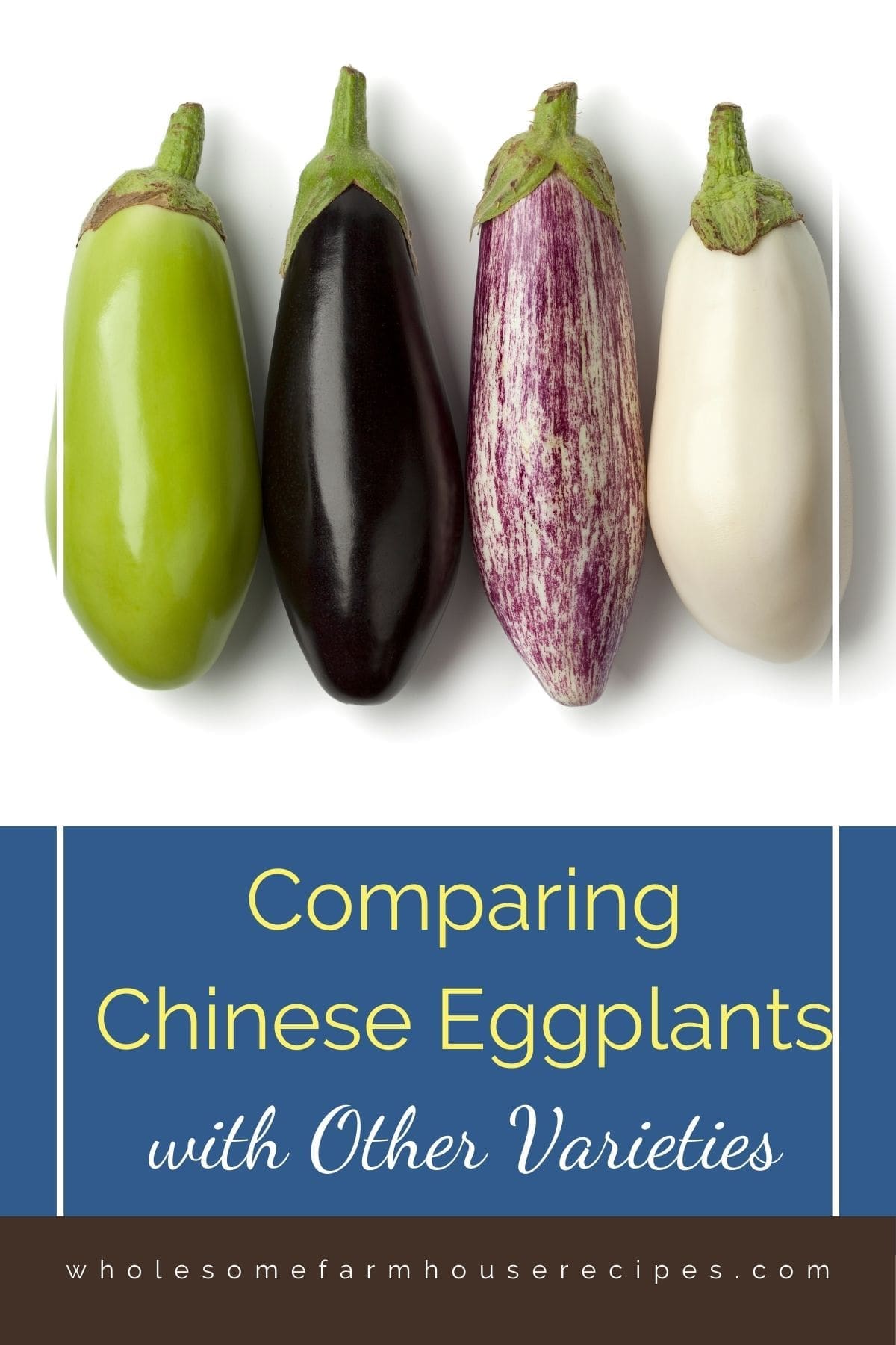 Comparing Chinese Eggplants with Other Varieties