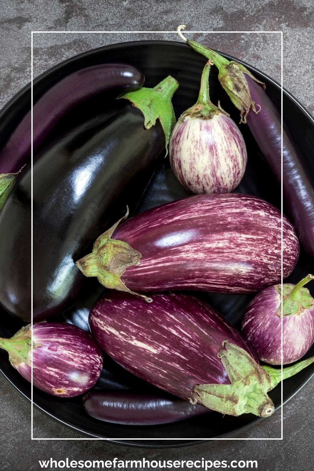 Different Eggplant Varieties