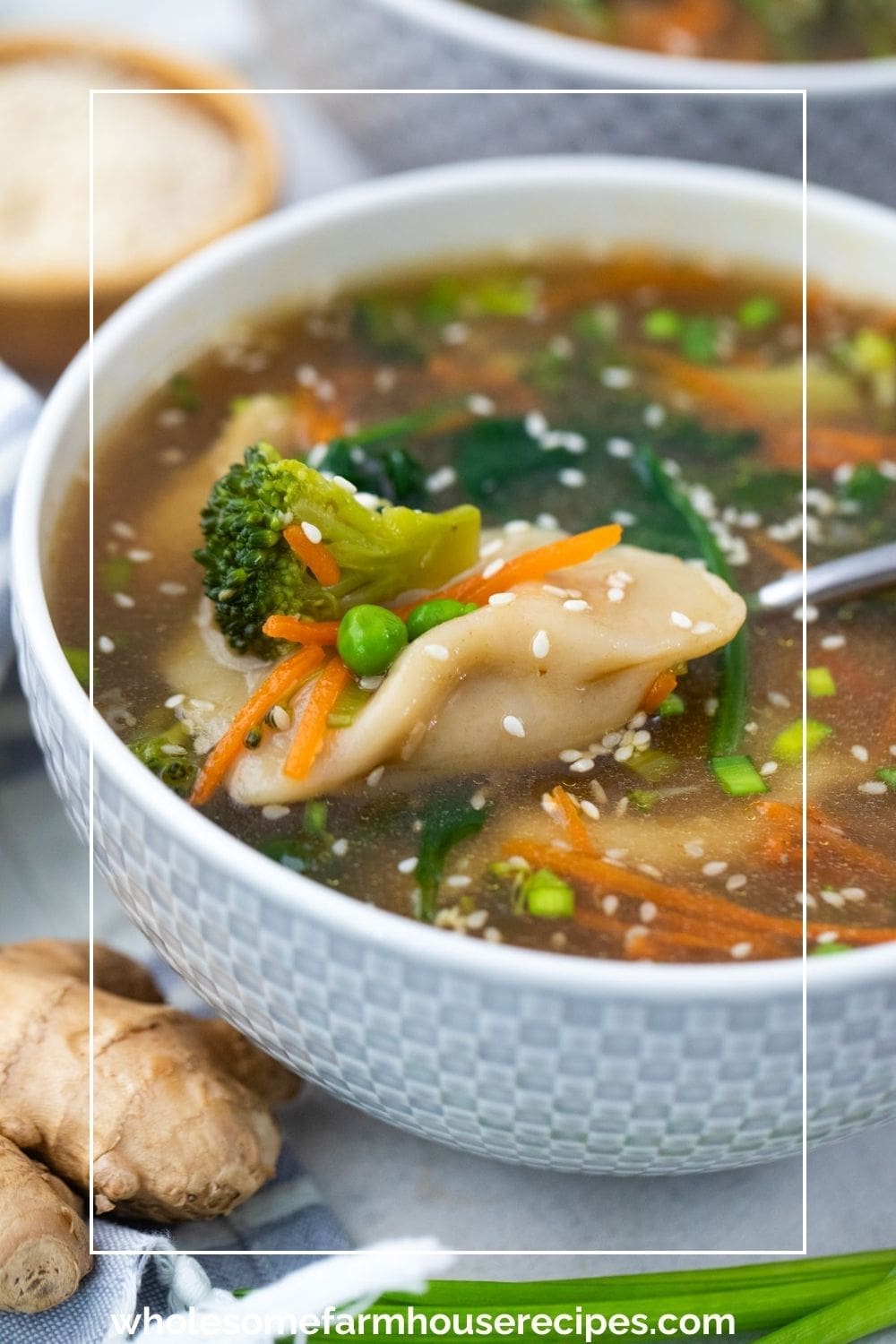 Easy Potsticker Soup