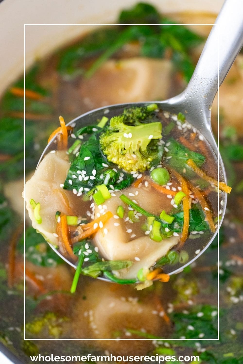 Ladling Pot Sticker Soup