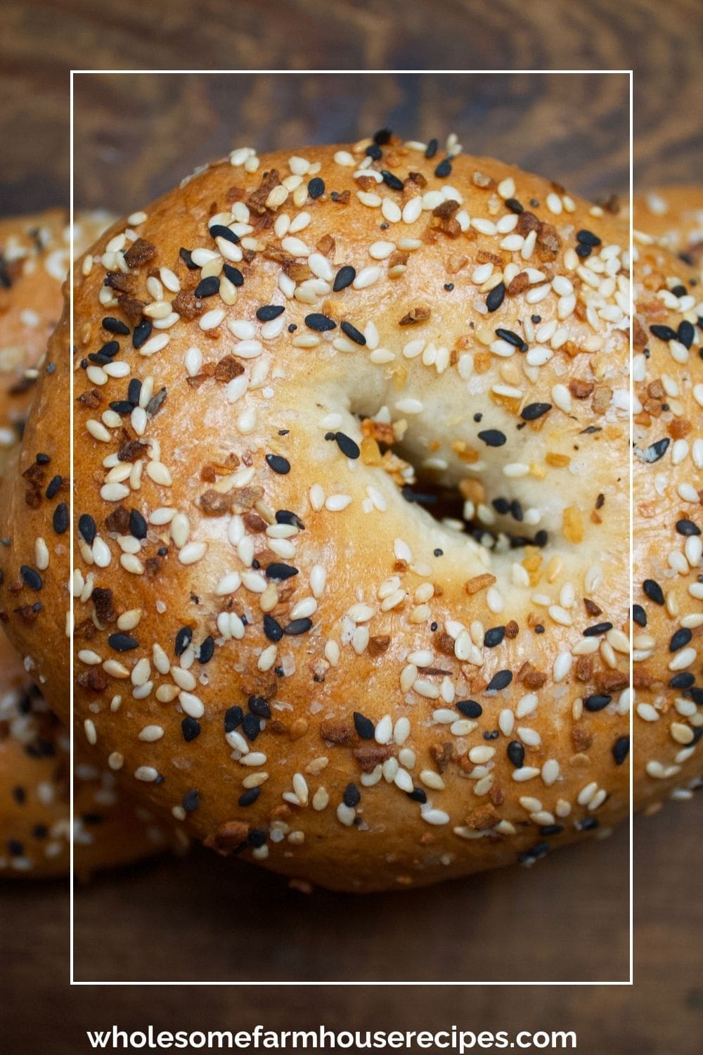 Fresh Bagels with Everything Bagel Spices on Top