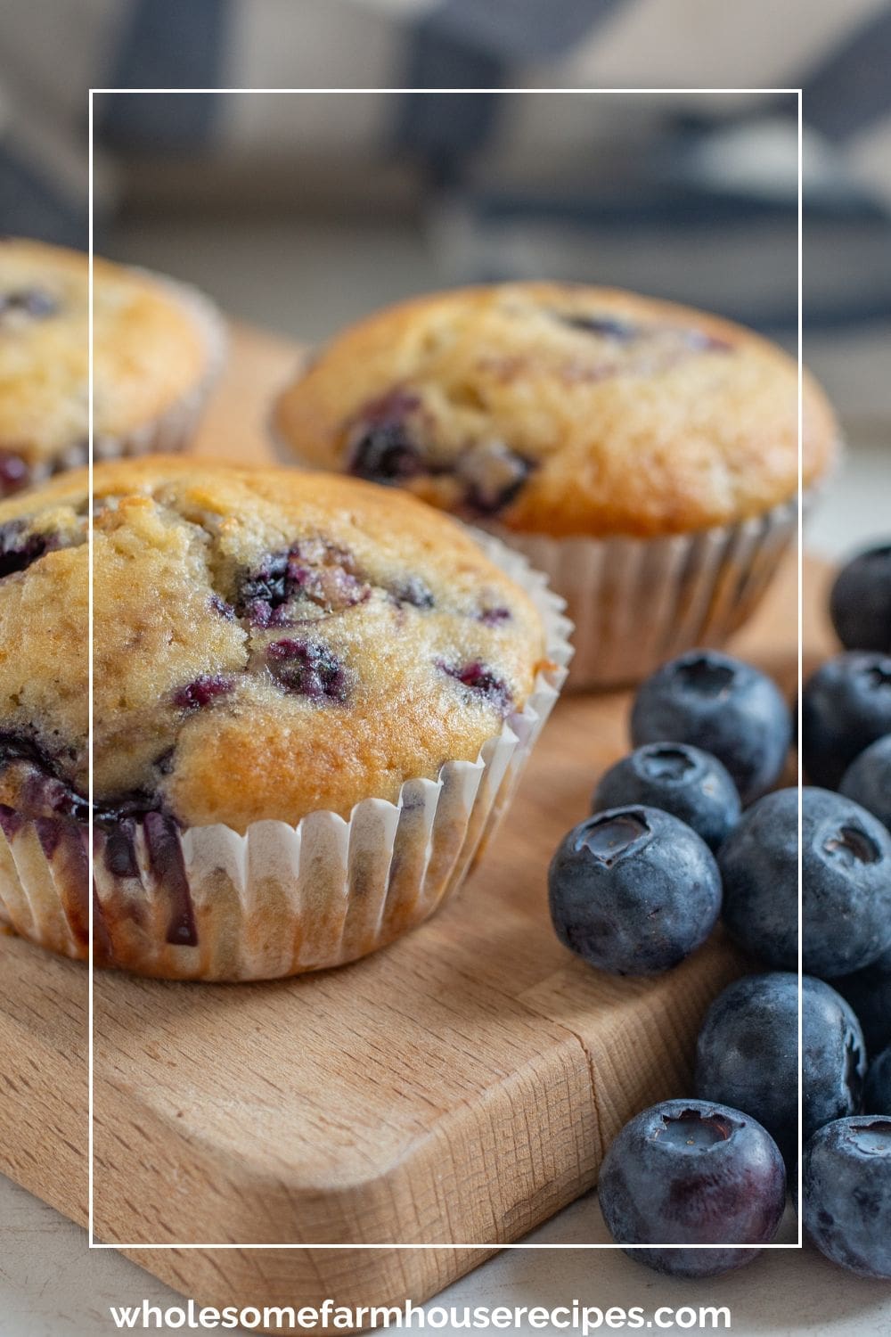 Homemade Blueberry Muffins with Fresh Blueberries