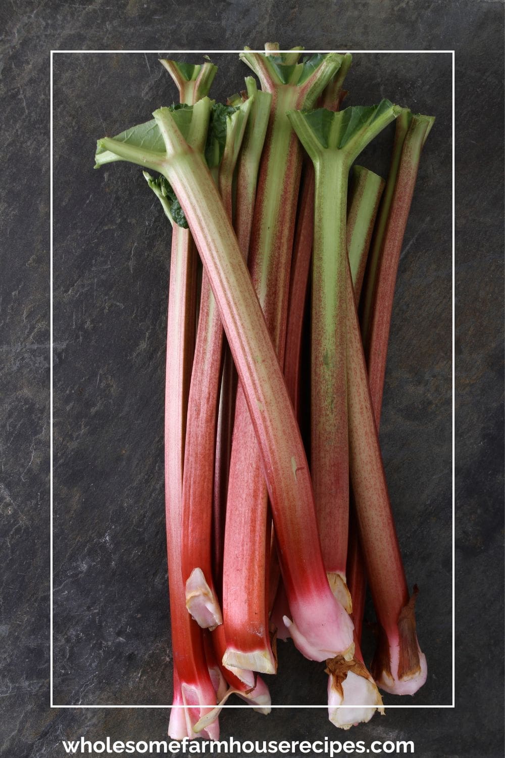 rhubarb stalks