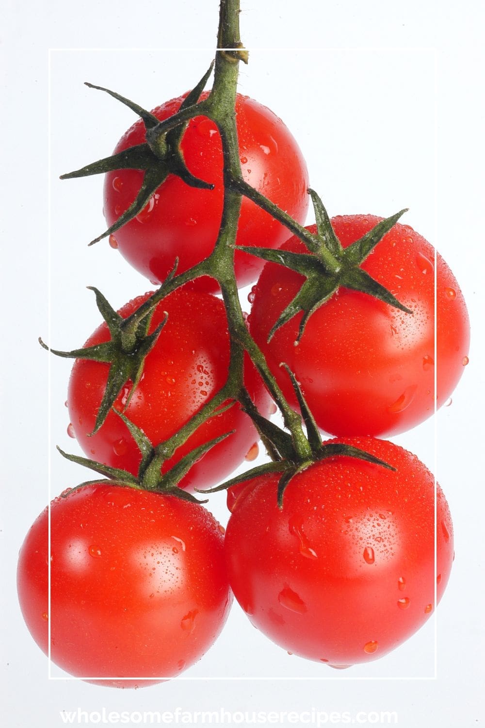 Cherry Tomatoes on the Vine