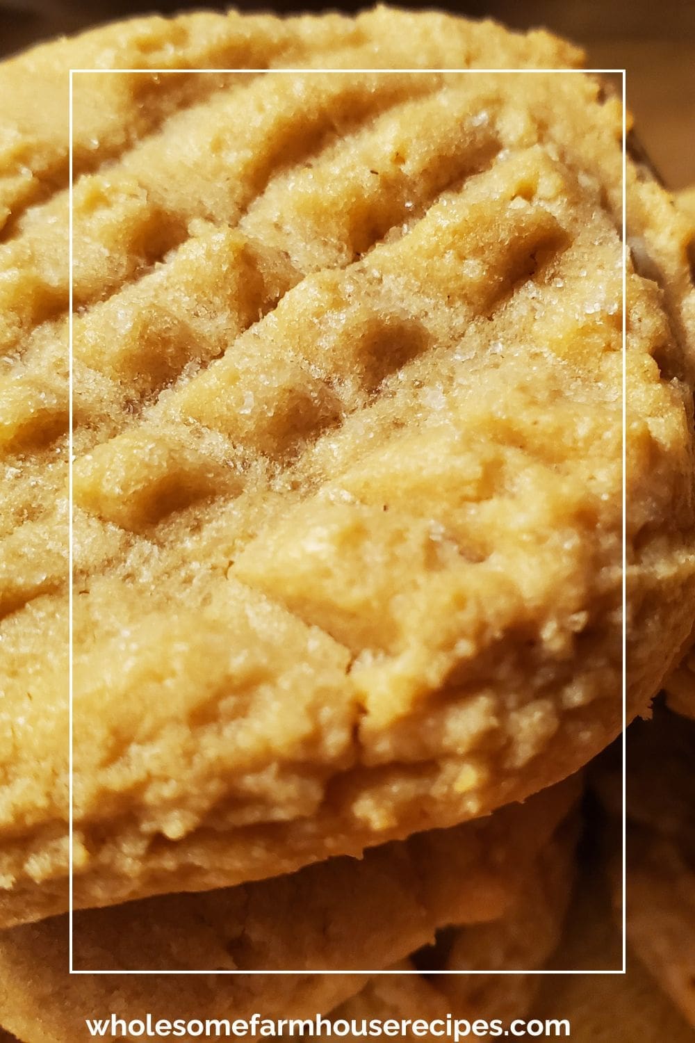 Large Chewy Peanut Butter Cookie Close up