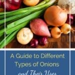 Easy Apple Cider Vinegar Based Coleslaw Recipe