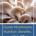 Chanterelle Mushrooms: Nutrition, Benefits, and Side Effects