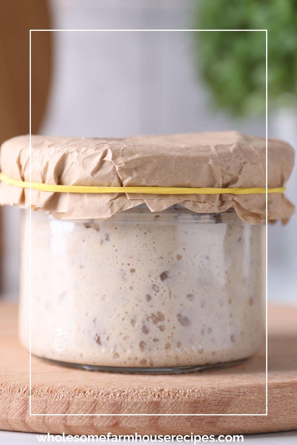 Storing Sourdough in Glass Jar with Paper Lid