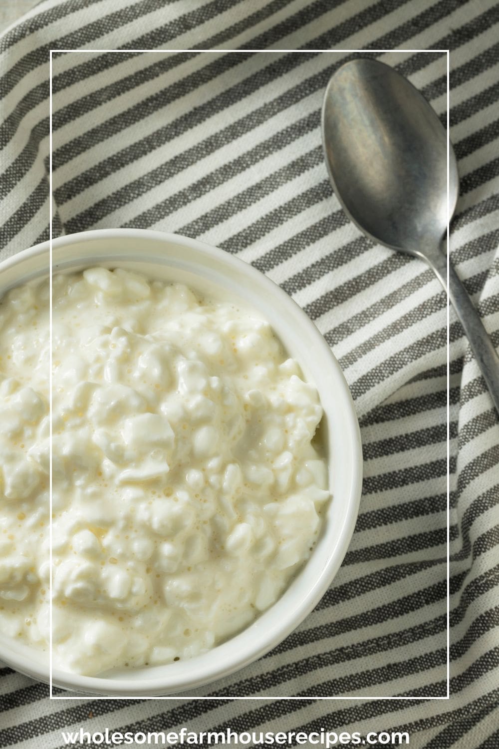 Bowl of Cottage Cheese