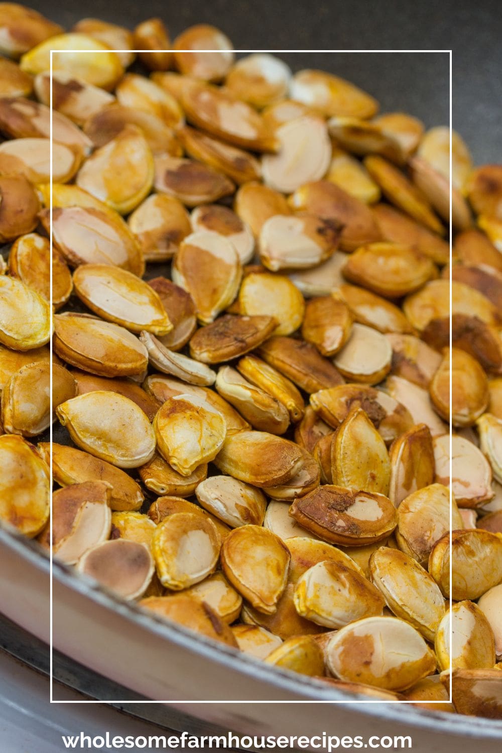 Bowl of Roasted Pumpkin Seeds