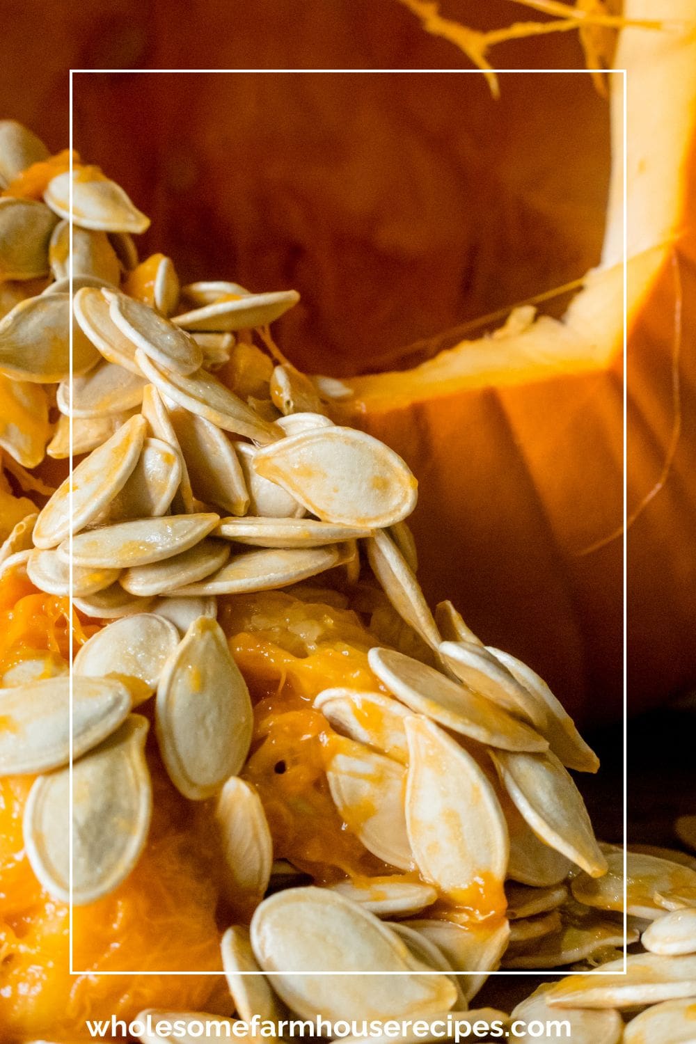 Cleaning the Seeds out of a Pumpkin