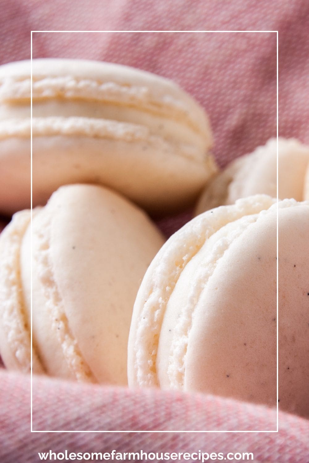 Close up of Vanilla Macaron Cookies