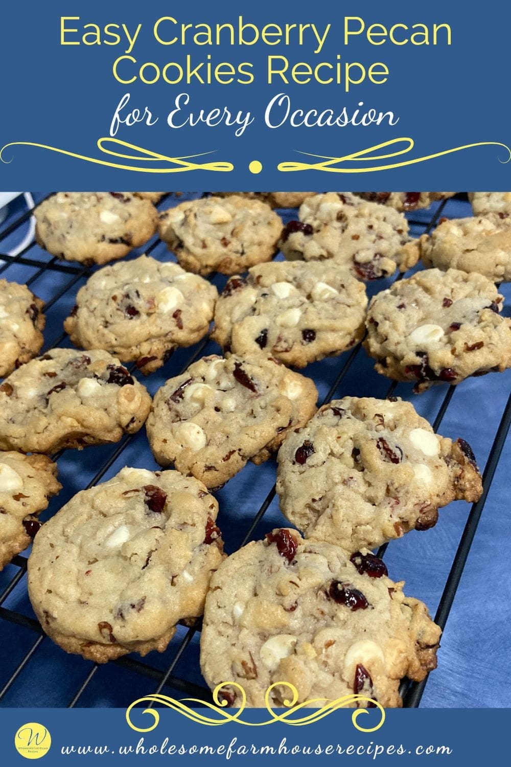 Easy Cranberry Pecan Cookies Recipe for Every Occasion