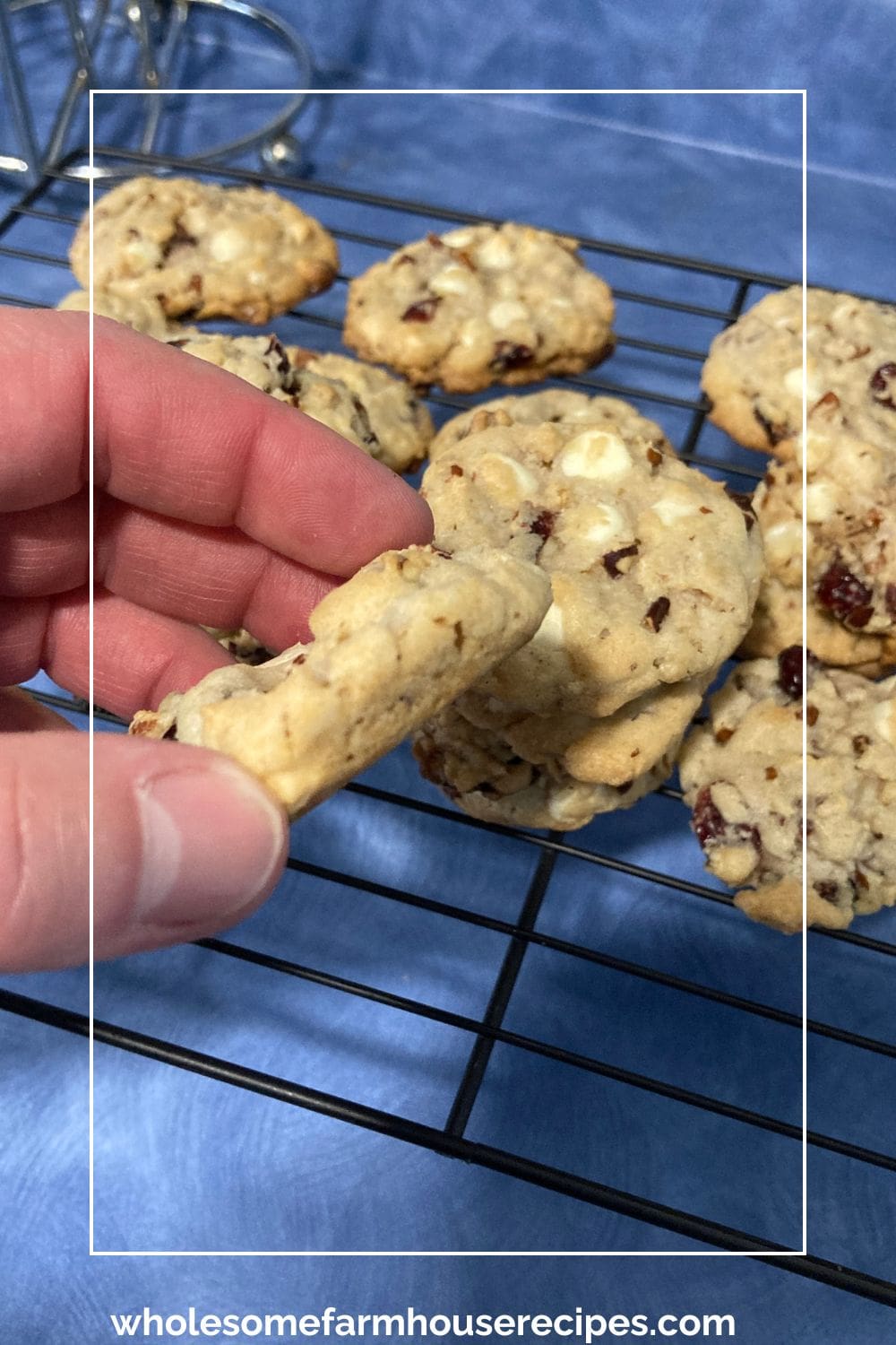 Sneaking a Taste of White Chocolate Chip Cranberry Cookies