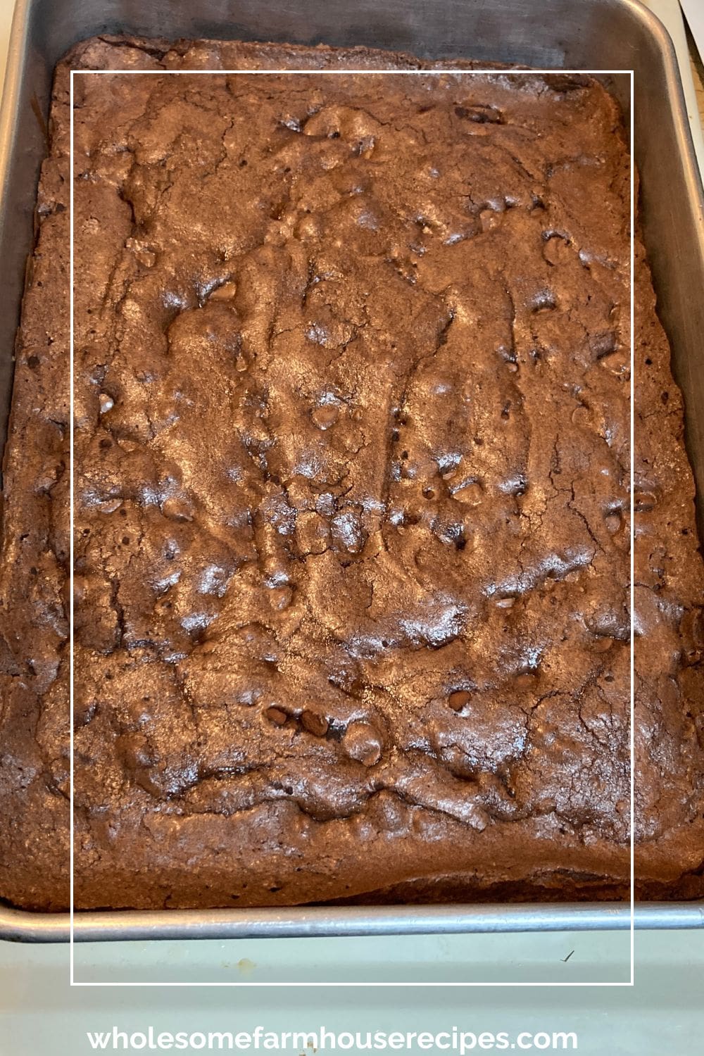 baking pan of fudgy brownies