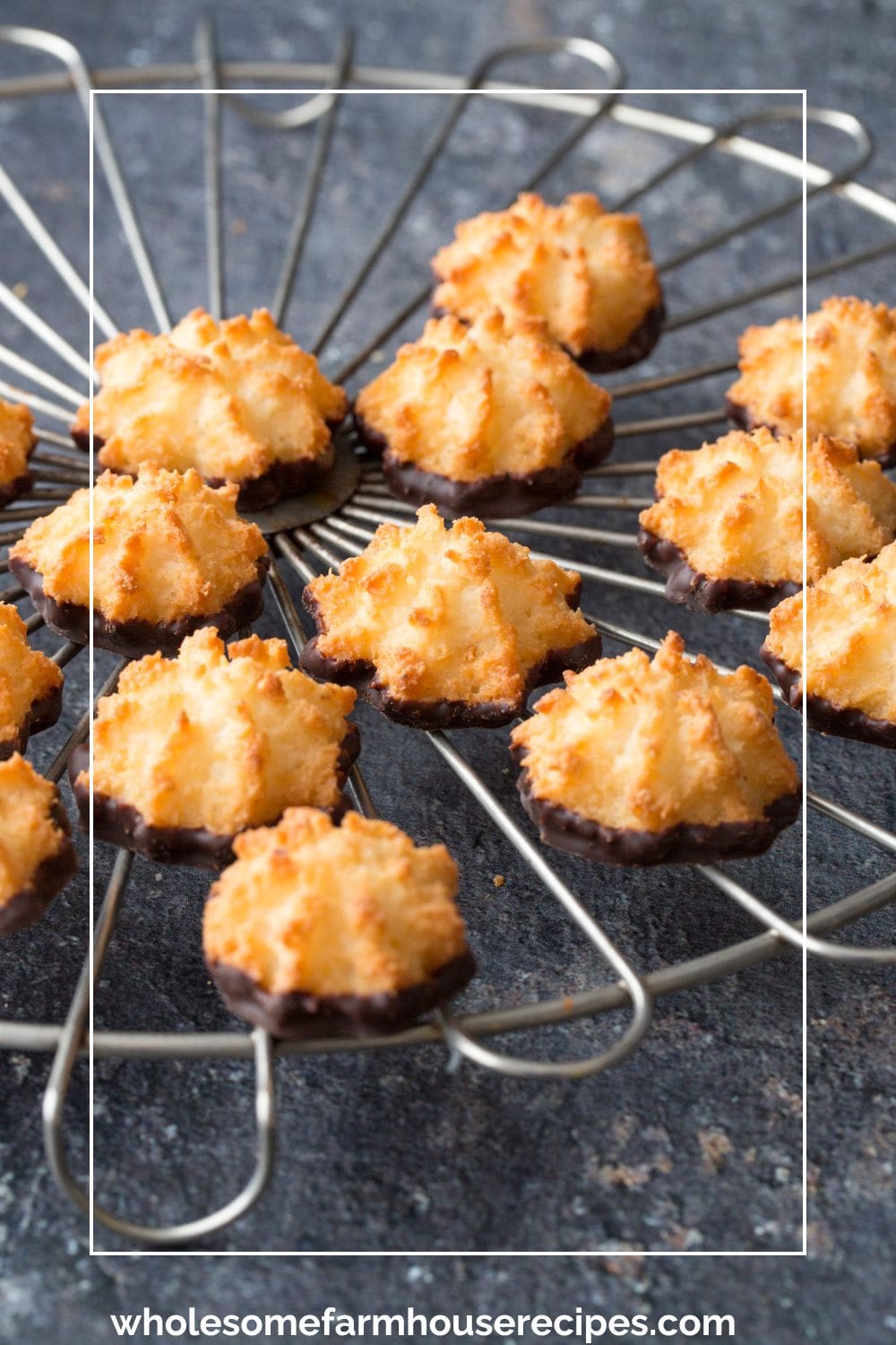 coconut macaroons dipped in chocolate